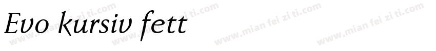 Evo kursiv fett字体转换
